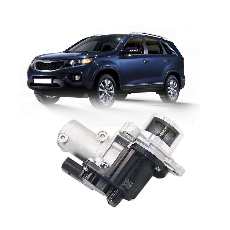284102f000 2.0 2.2 Engine Egr Valve for Sedona Sorento 09-12 for 28410-2f000