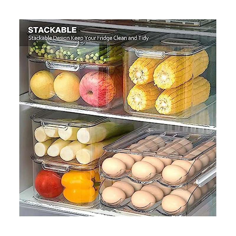 2layer Egg Holder for Refrigerator,automatic Rolling Egg Storage Box,clear Plastic Egg Container Or