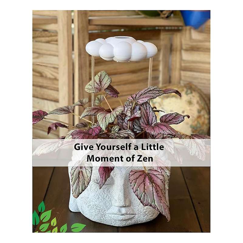 2PCS Courtyard Plants Garden Decorations Plant Watering Rain Cloud