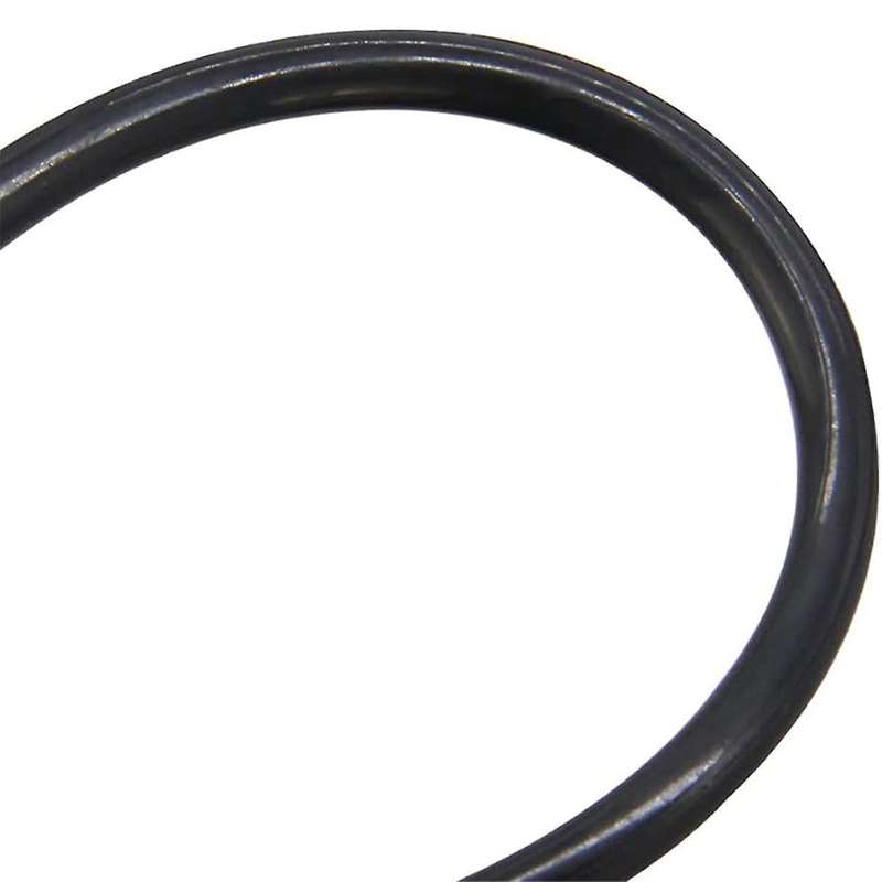 2PCS CX900F O-240 Tank Lid O-Ring for Star-Clear Plus Pool Filter Pool Pump Replacement Parts