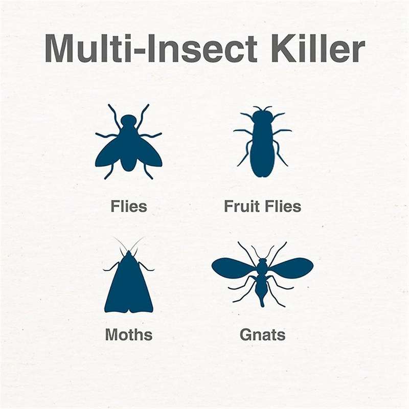 2PCS Electric Flying Insect Trap Kit Sticky Catcher Traps for Indoor Fly, Flying Insect, Mosquito, G