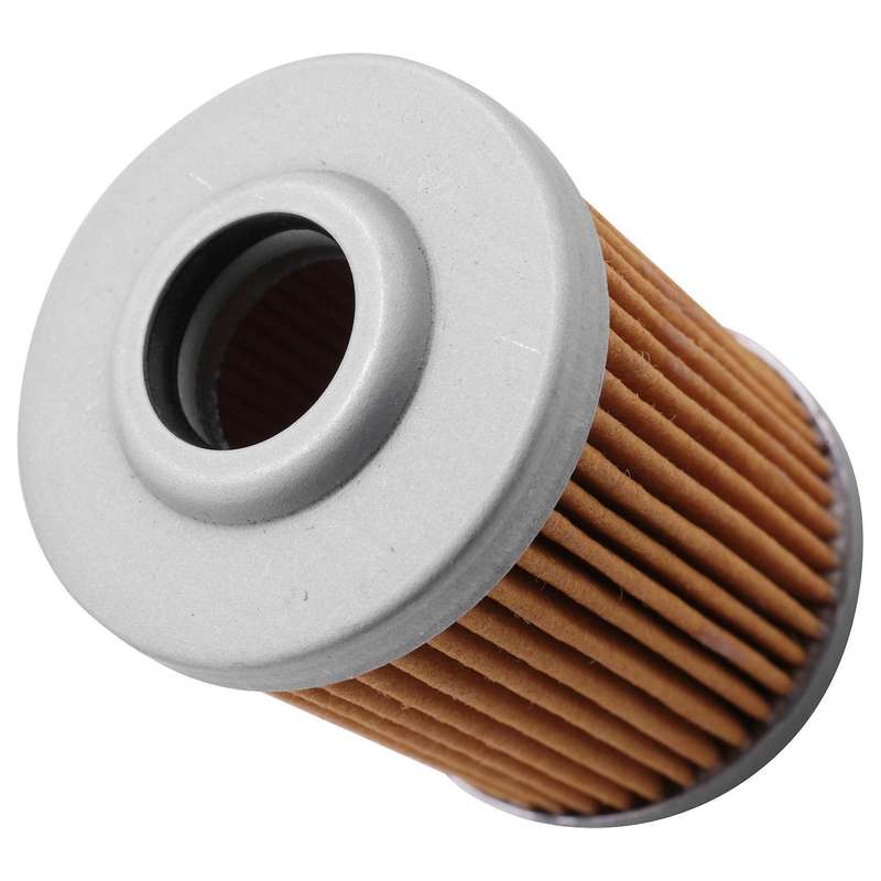 2pcs Fuel Filter for 16901-zy3-003 115 130 135 150 175 200 225 Outboard