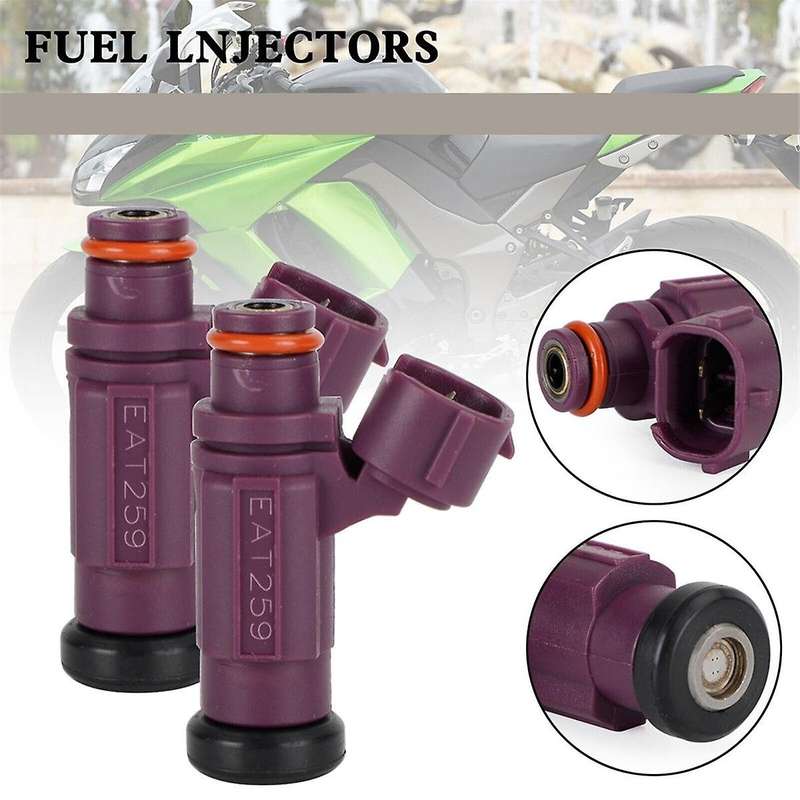 2pcs Fuel Injector Eat259 49033-2060 for Mule 4000 4010 2009-2017