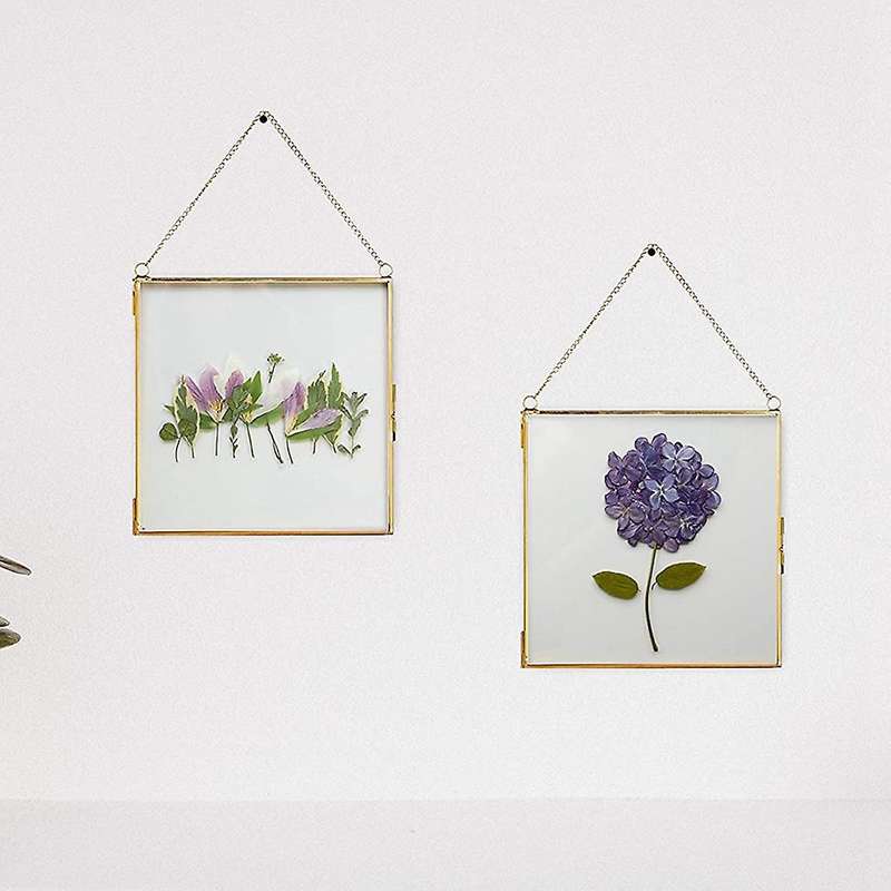 2Pcs Glass Frame for Pressed Flowers, Leaf and Artwork - Hanging Square Metal Picture Frames,Clear D