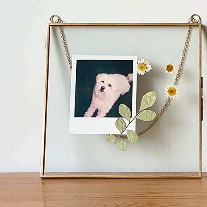 2Pcs Glass Frame for Pressed Flowers, Leaf and Artwork - Hanging Square Metal Picture Frames,Clear D