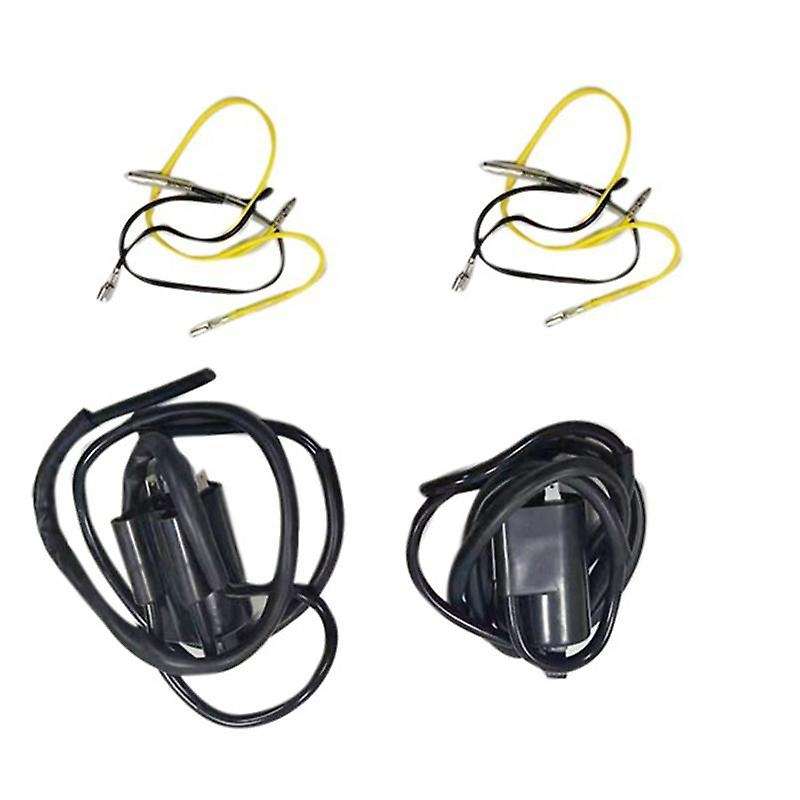 2pcs Ignition Coil Motorcycle Ignition Coil for Suzuki