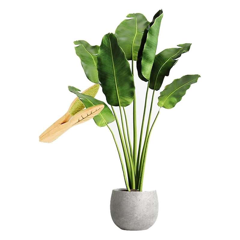 2PCS Leaf Cleaning Tongs, Plant Leaf Cleaning Tongs, Plant Leaf Lint Cleaner with Wood Handle, Leaf