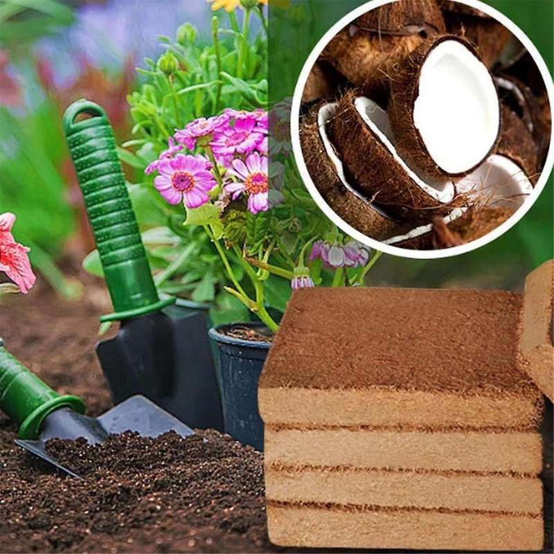 2pcs Organic Coconut Fiber for Plants, Organic Coconut Bricks, Natural Organic Compressed Coconut