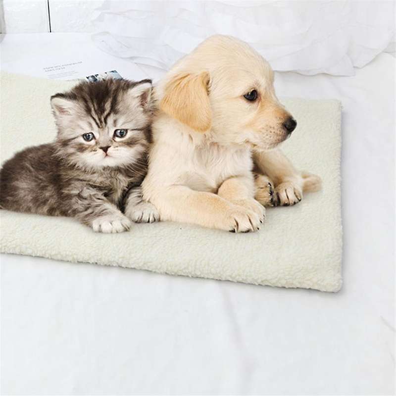 2pcs Personalized Dog Bed Window Perch Nap Pad, Kitty Sleeping Mat Warm Dog House Self-heating Blank