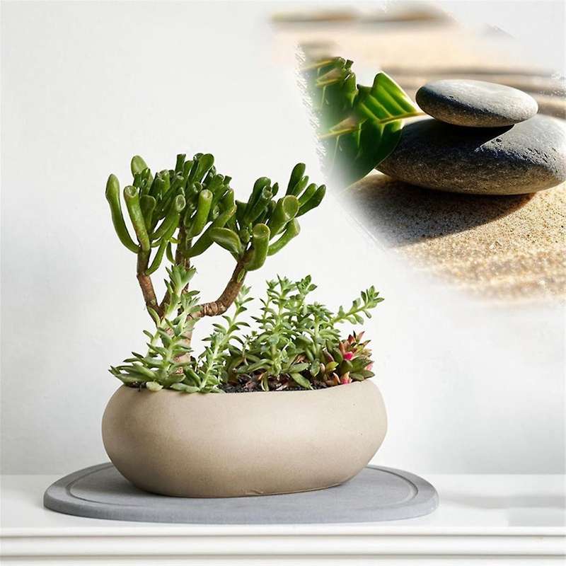 2PCS Plant Saucer, Quick Drying Plant Tray ,Diatomaceous Earth Plant Water Catcher Tray for Indoors
