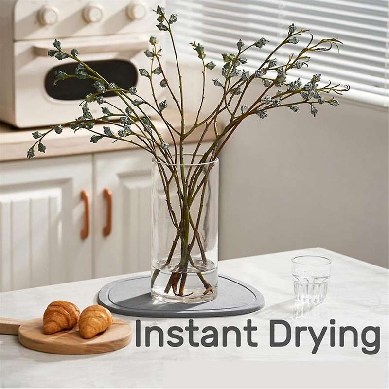 2PCS Plant Saucer, Quick Drying Plant Tray ,Diatomaceous Earth Plant Water Catcher Tray for Indoors