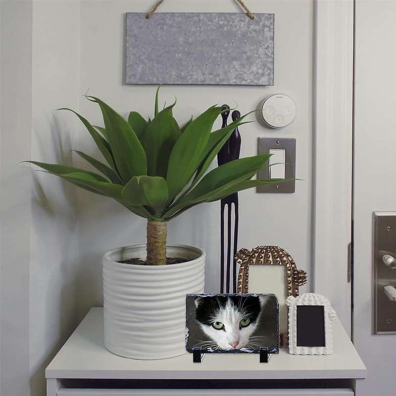 2pcs Sublimation Blank Rock Stone 6 X 8 Inch Rectangular Custom Sublimation Picture Frame Heat