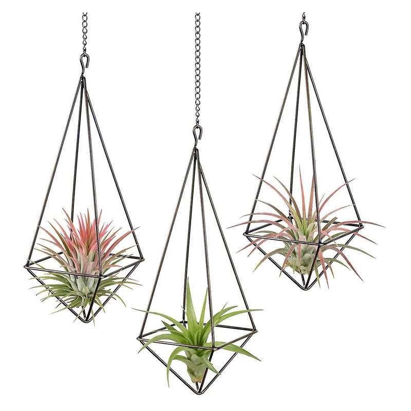 3 Pack Hanging Air Plant Holder Geometric Planter Air Plant Rack Tillandsia Hanger with Chain for H