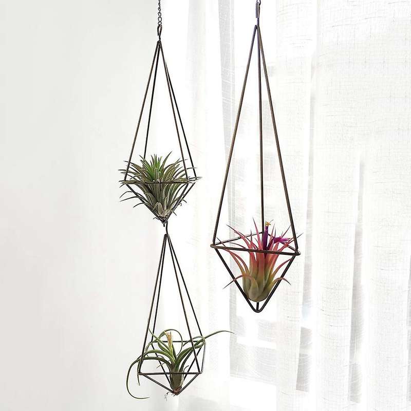 3 Pack Hanging Air Plant Holder Geometric Planter Air Plant Rack Tillandsia Hanger with Chain for H