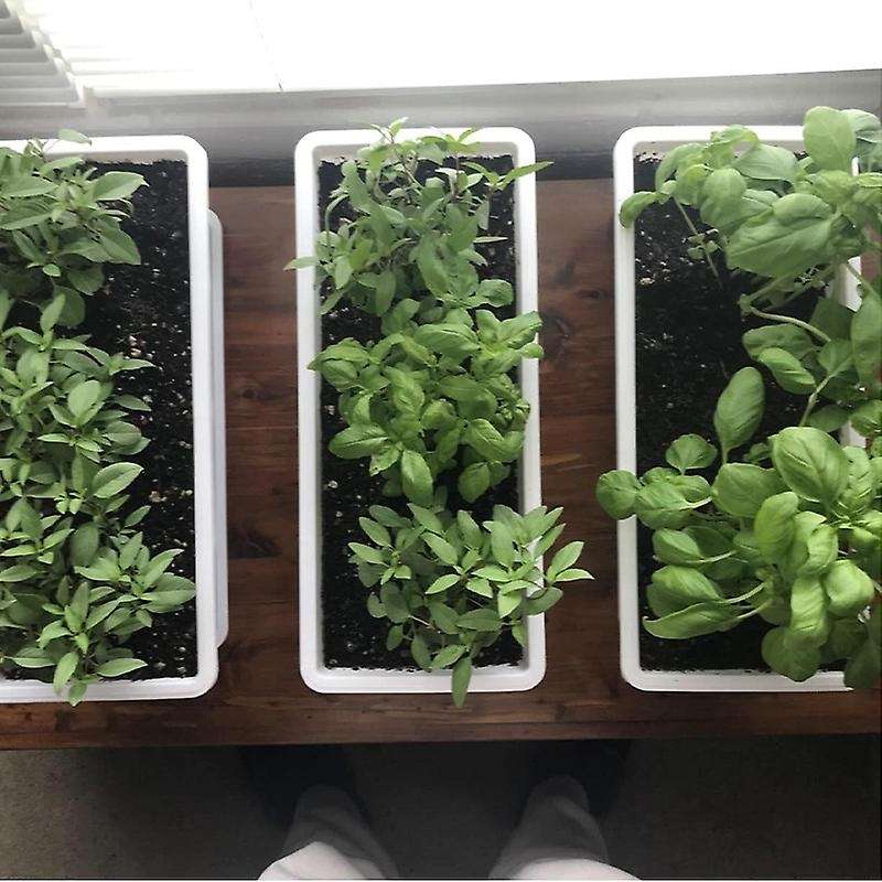 3 Packs 19.6 Inches White Flower Window Boxes Plastic Vegetable for Windowsill, Patio, Garden, Porch