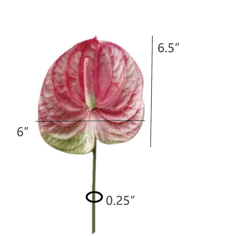 3 Pcs 22.8Inch Artificial Anthurium Flowers for Home Decor Bouquet and Green Leaf and Bridal Wedding