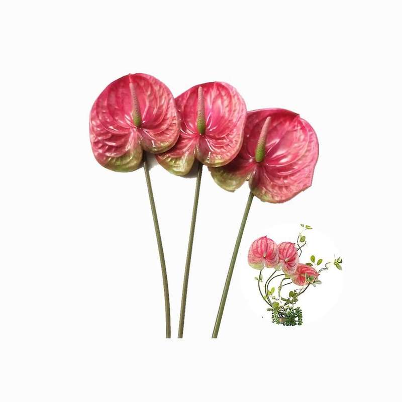 3 Pcs 22.8Inch Artificial Anthurium Flowers for Home Decor Bouquet and Green Leaf and Bridal Wedding