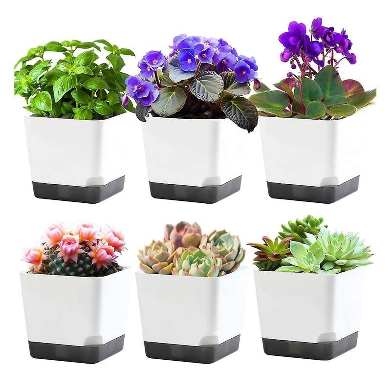 3.9 Inch Succulent Pots with Drainage Hole, 6 Pack Style Small Plant Pots Flower Planters for Indoor
