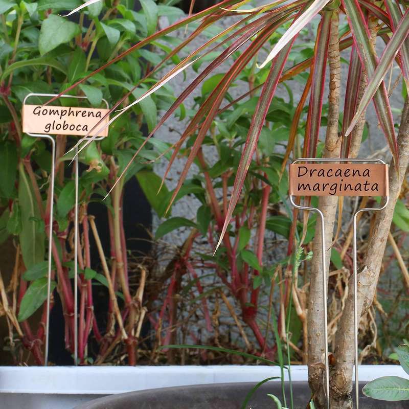 30 Pack 10 Inch High Copper Plate Metal Plant Labels Garden Stake Tags Reusable Planting Gardening