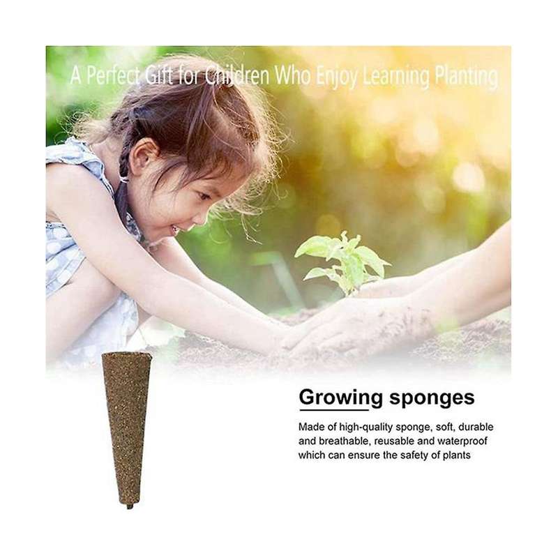 30 Pack Seed Plant Grow Sponges, -friendly Plant Growing Plugs Sponges for Plants Growth
