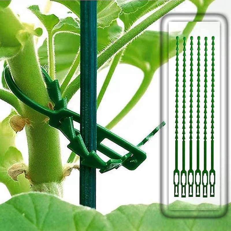 30 Pack Plant Support Stakes, Garden Single Stemmed Plant Support Plant Stakes, Plant Prop, Plant S