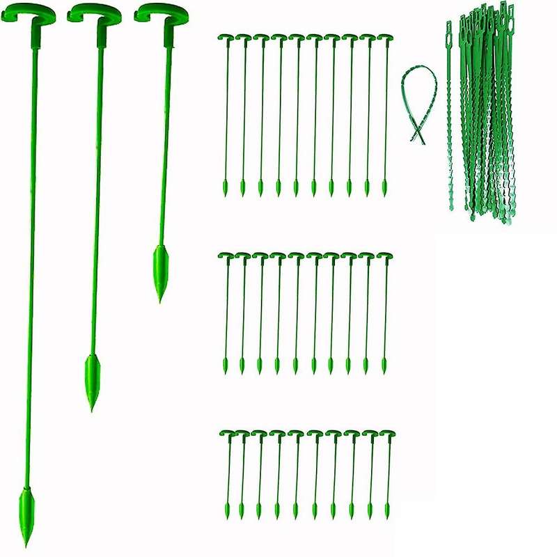 30 Pack Plant Support Stakes, Garden Single Stemmed Plant Support Plant Stakes, Plant Prop, Plant S