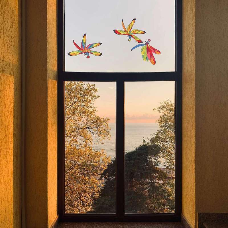 30 Pcs Dragonfly Window Clings Anti-collision Window Clings Decals to Prevent Bird Strikes On Windo