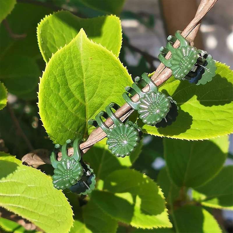 30 Pcs Plant Support Stakes with 30 Pcs Plant Clips Garden Floral Flower Support Single Stem Suppor