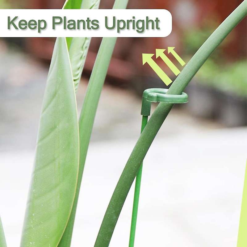 30 Pcs Plant Support Stakes with 30 Pcs Plant Clips Garden Floral Flower Support Single Stem Suppor