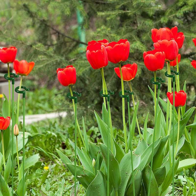 30 Pcs Plant Support Garden Flower Support with a Stem for Climbing Mesh for Vegetables, Flowers, P