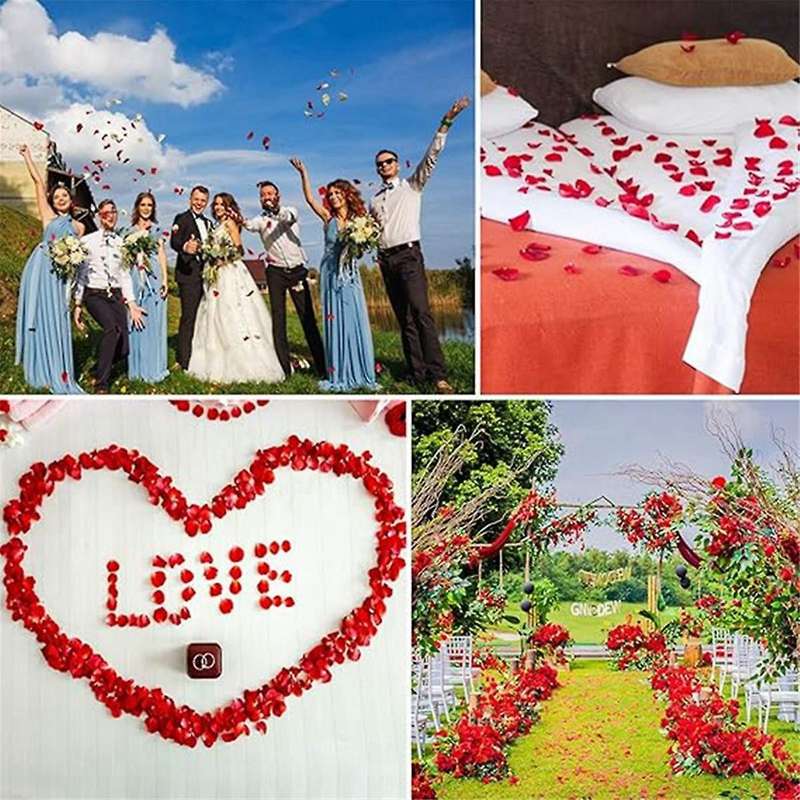 3000PCS Rose Petals, Flower,Rose Petals for Bed & Valentines Decorations,Marry Me Decorations,Artifi