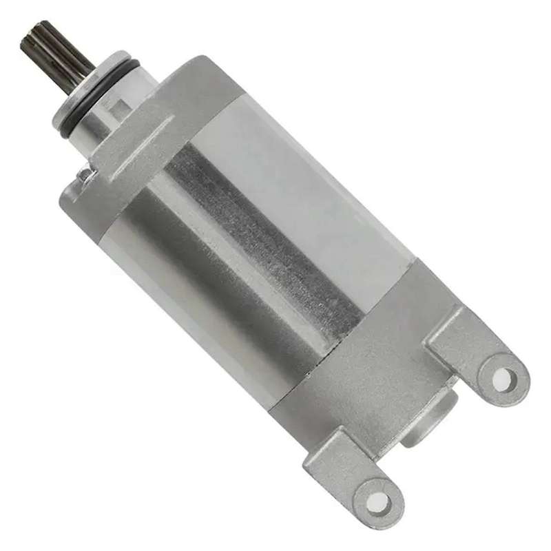 3C5-81890-00-00 Motor Motor Motor Motorcycle Parts for YFM 250