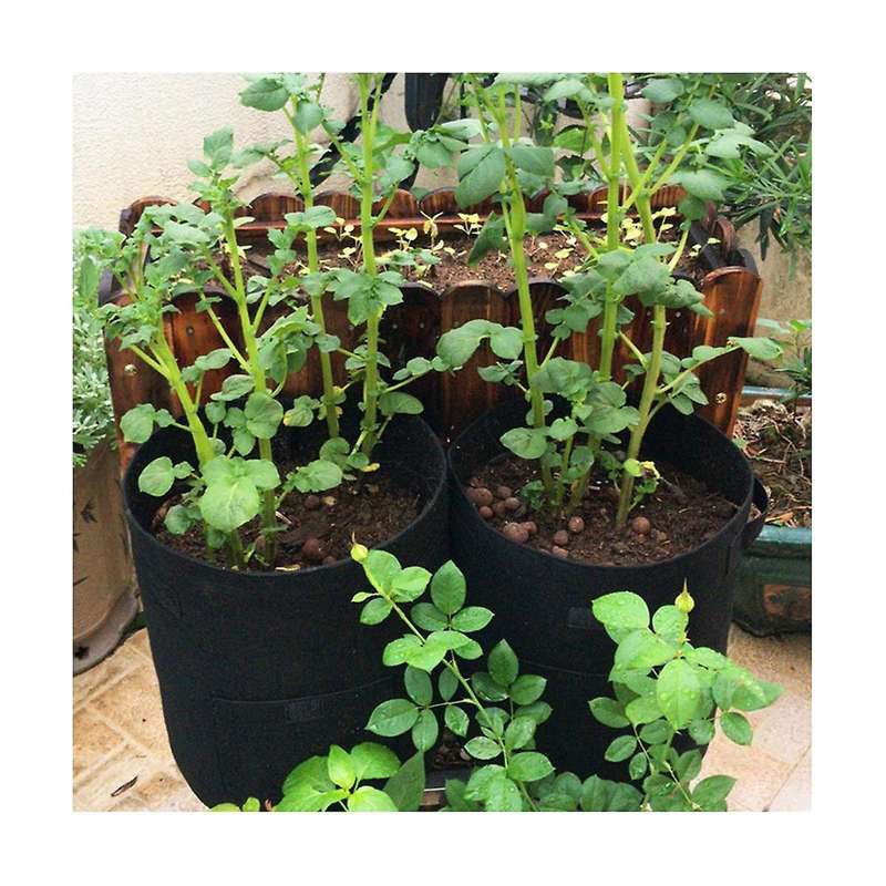 3-pack 10 Gallon Potato Grow Bag, Grow Bags with Handles and Visualized Flap, Thickened and Breatha