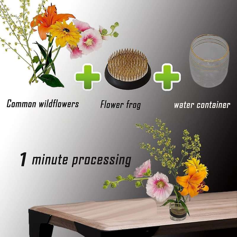 3pcs Flower Frogs Holder,2inch Round Flower Arrangement Kenzan Japanese Pin Frogs for Flowers Fixat