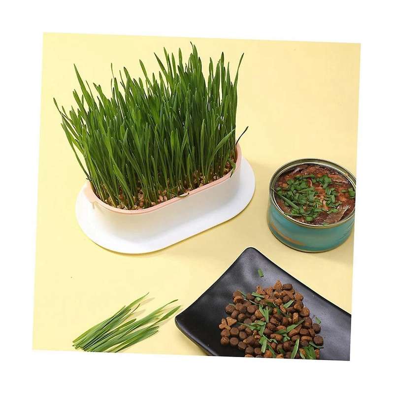 3pcs Home Planting Box Kit, Sprouts Soil-free Pets Convenient Nursery Grower Soil Propagation