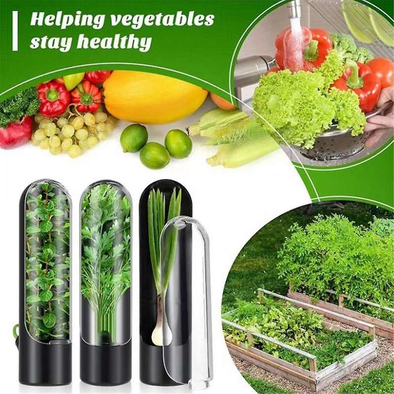 3PCS Herb Saver for Refrigerator Herb Freshs Cup Keeper for Refrigerator Herb Storage for Cilantro P
