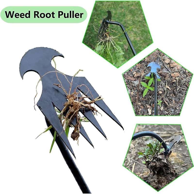 3Pcs Weed Puller Tool,Weeding Artifact Uprooting Removal Tool,4 Teethes Dual Purpose Manual Weeders