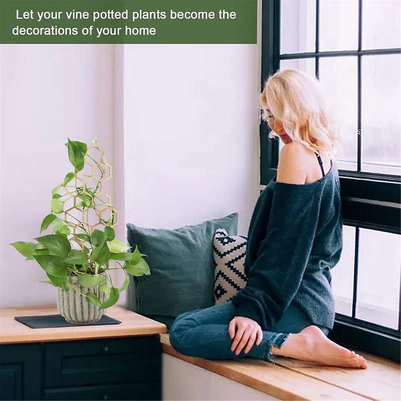3pcs Wooden Honeycomb Plant Climbing Stand Lattice Climbing Plant Stand Horticultural Potting Stand