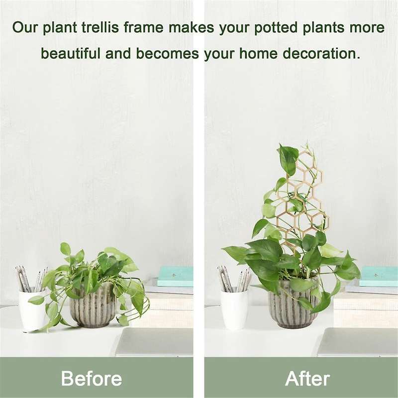 3pcs Wooden Honeycomb Plant Climbing Stand Lattice Climbing Plant Stand Horticultural Potting Stand