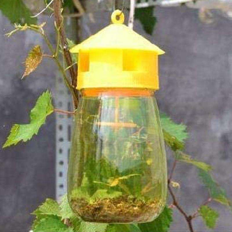 4 Pack Fly Reusable Traps, Fruit Fly Traps Fly Catcher Outdoor
