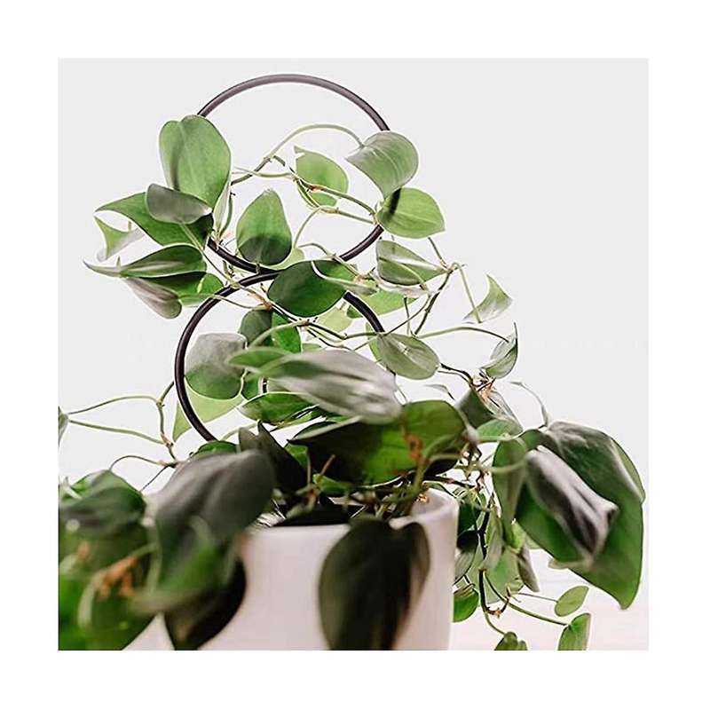4 Pcs Small Plants Trellis for Potted Plants,small Trellis for Potted Plants,geometric Plant Suppor