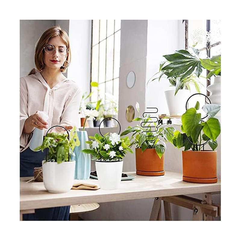 4 Pcs Small Plants Trellis for Potted Plants,small Trellis for Potted Plants,geometric Plant Suppor