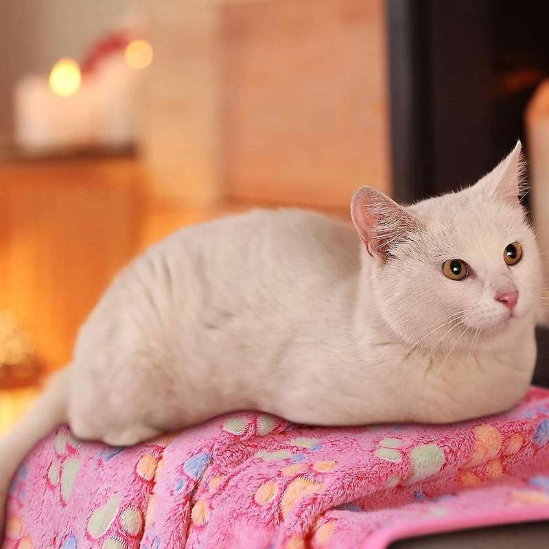 4 Pieces Puppy Blanket for Pet Cushion Small Medium and Large Dog Cat Bed Warm Soft Sleep Mat, Pet D