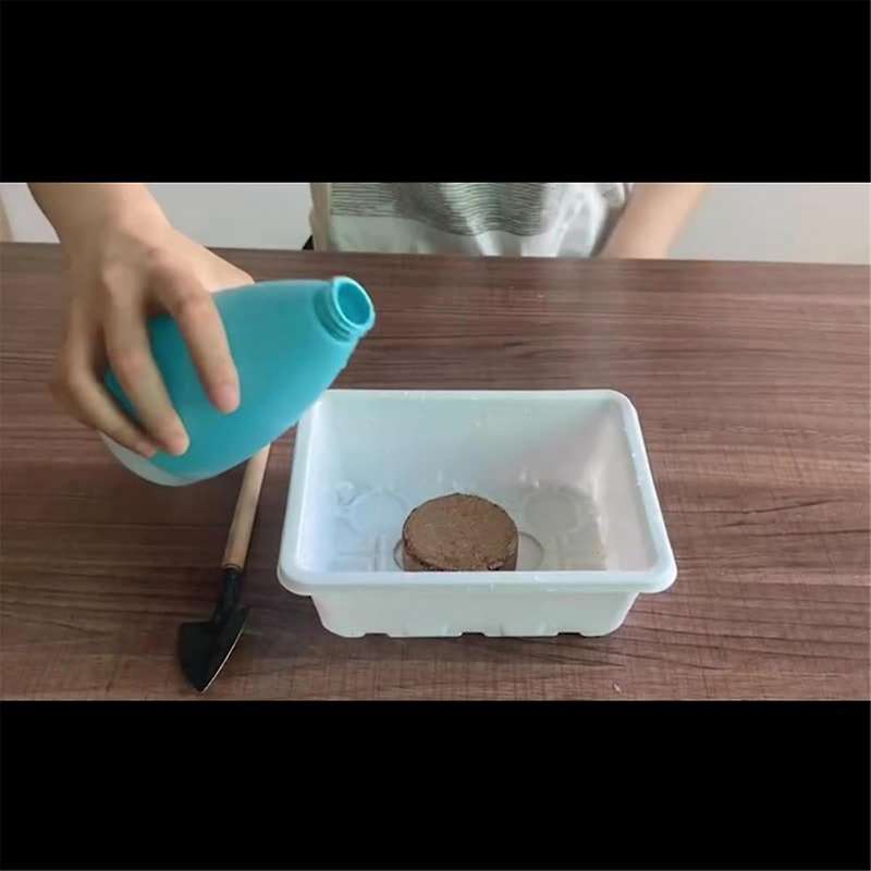 4.5x1.5cm Premium Quality Coir Compressed 100% Organic Coir Tiles with Low EC and PH Balance for Pl