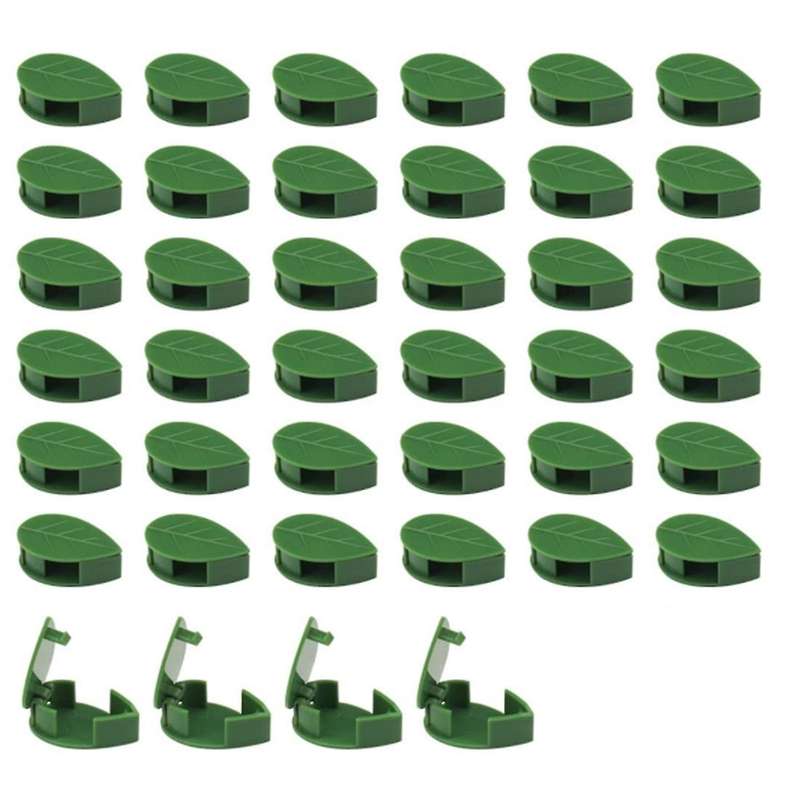 40 Pieces Plant Climbing Wall Fixture,Invisible Plant Climbing Wall Fixture,Plant Vine Traction Clip
