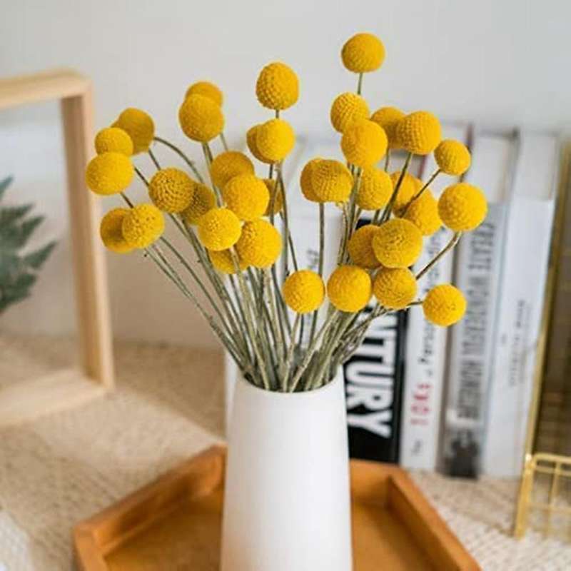 40Pcs Dried Craspedia Flowers Dried Billy Button Balls Flowers