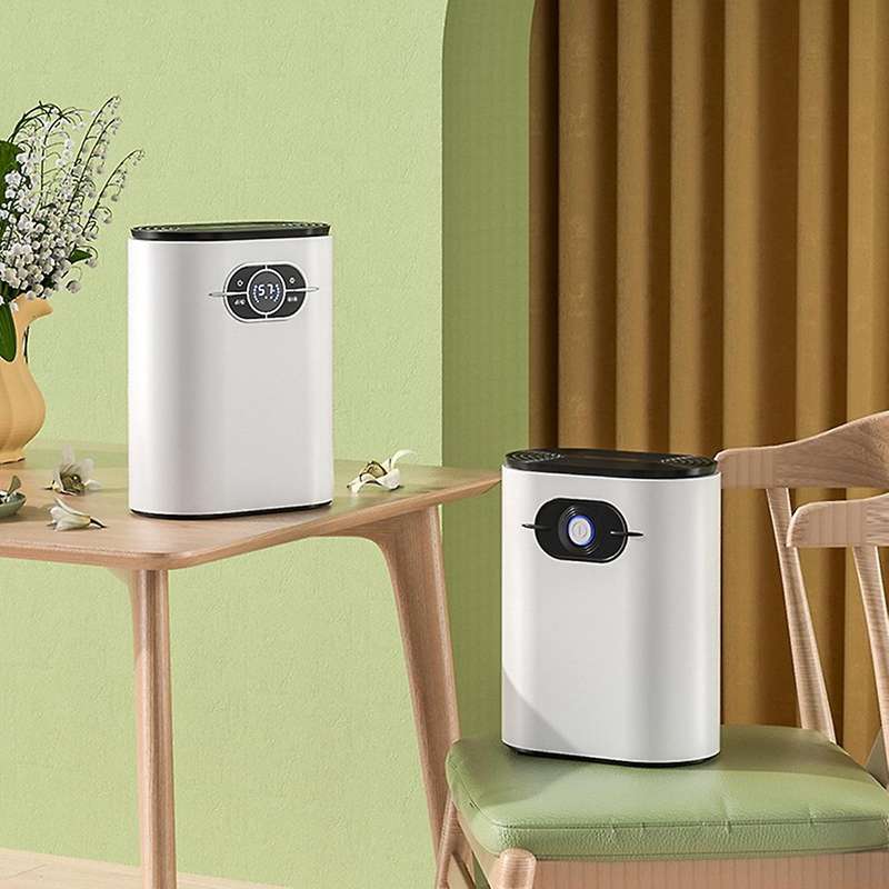 42W Home Dehumidifier Negative Ion Air Cleaner Energy Saving Air Dryer Low Noise 1200Ml Water Tank E