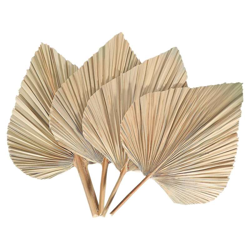 4Pcs Dried Palm Leaves Dried Palm Fans Bohemian Dried Palm Spears Artificial Plants Palm Leaves Trop