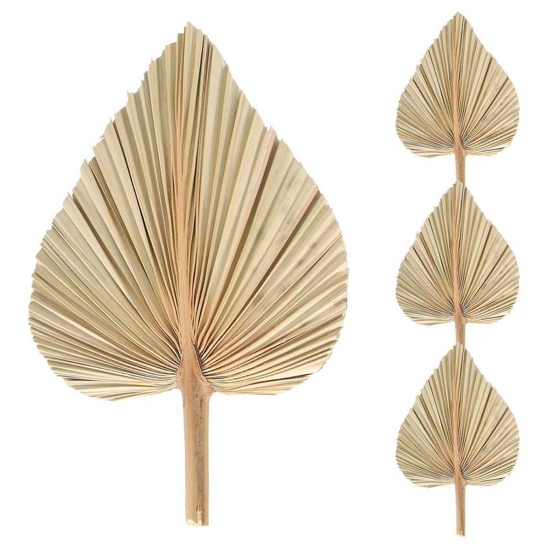 4Pcs Dried Palm Leaves Dried Palm Fans Bohemian Dried Palm Spears Artificial Plants Palm Leaves Trop