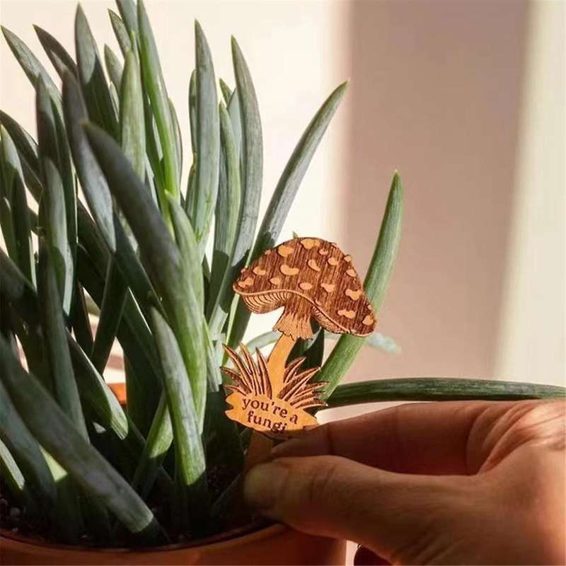 4PCS Encourage Plant Picking Labels Wood Plant Tags Mushroom Vegetable Picking Garden Potted Plant P